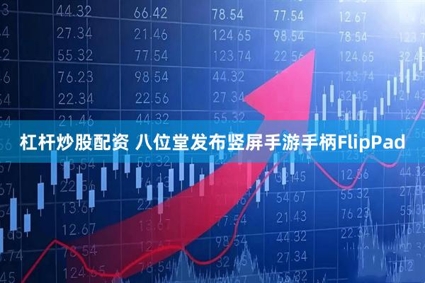杠杆炒股配资 八位堂发布竖屏手游手柄FlipPad