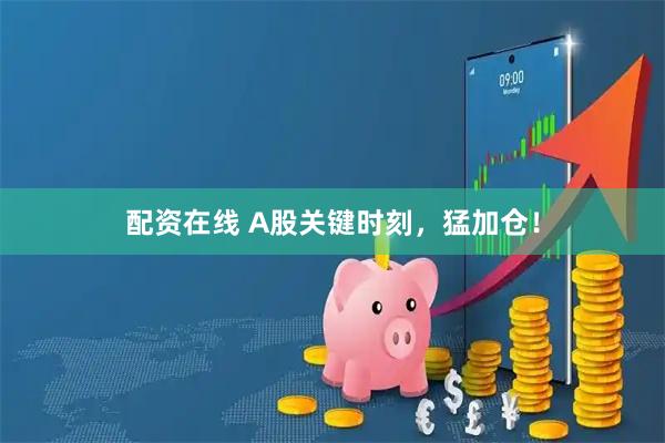 配资在线 A股关键时刻，猛加仓！
